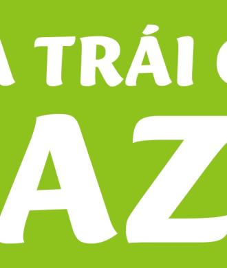Trà Trái Cây Ngon Thủ Dầu Một – Xu Hướng Giải Khát Tự Nhiên